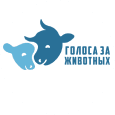 Аватар пользователя.